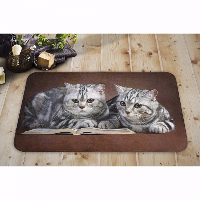 Kedi Tasarım Ev İçi Paspas 45x75 cm PASPASLAR EVİM OLUNCA